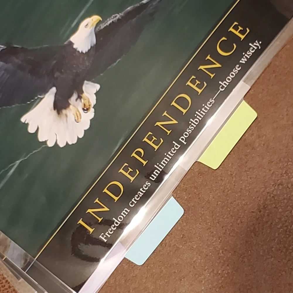 Homemade cover and 4 dashboards/dividers for a classic size disc bound planner